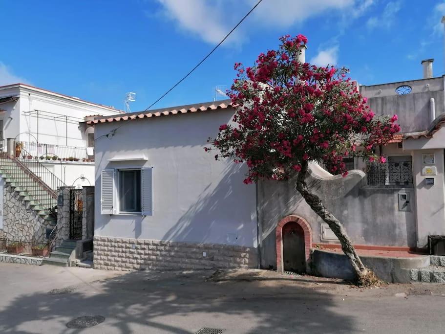 Sweet Home, Anacapri Exteriér fotografie